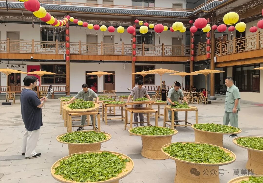 制茶过程